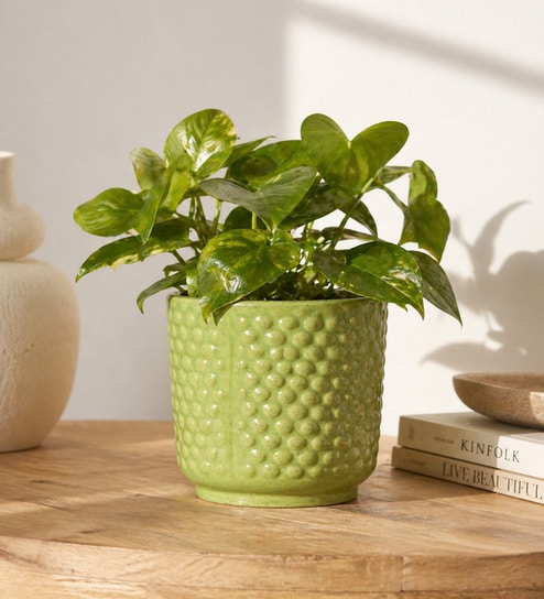 Textured Bubble Ceramic Planter Pot