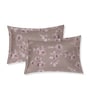 Brown Floral 180 TC Polyester King Sized Bedsheet With 2 Pillow Covers
