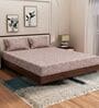 Brown Floral 180 TC Polyester King Sized Bedsheet With 2 Pillow Covers