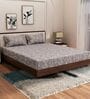Grey Floral 180 TC Polyester King Sized Bedsheet With 2 Pillow Covers