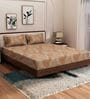 Brown Leaf 180 TC Polyester King Sized Bedsheet With 2 Pillow Covers