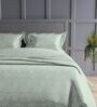 Tea Green Floral 300TC Cotton Super King Sized Double Bedsheet with 2 piping Pillow Covers
