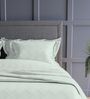 Tea Green Geometric 300TC Cotton Super King Sized Double Bedsheet with 2 piping Pillow Covers