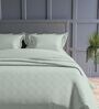 Tea Green Geometric 300TC Cotton Super King Sized Double Bedsheet with 2 piping Pillow Covers