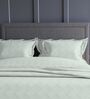 Tea Green Geometric 300TC Cotton Super King Sized Double Bedsheet with 2 piping Pillow Covers
