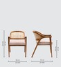 Teak Trend Solid Wood Arm Chairs in Teak Colour Set of 2