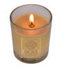 Teakwood Aroma Set of 12 Scented Candles