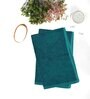 Teal Banana Terry Solid 480 GSM 2 Pcs Hand Towel