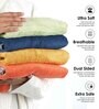 Teal Banana Terry Solid 480 GSM 2 Pcs Hand Towel