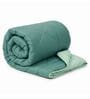 Teal Green & Mint 200 GSM Reversible Comforter