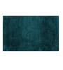 Teal Solid Microfibre 17x12 Inches AntiSkid Door Mat
