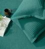 Teal Solid TC 120 Cotton Double Queen Bedcover With 2 Pillow Covers