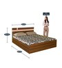 Teana Queen Size Bed with Storage in Classic Walnut Finish