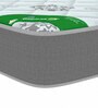 Techsleep 5 inch PU Foam Single Mattress