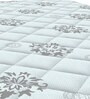 Techsleep 5 inch PU Foam Single Mattress