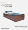 Den Single Size Bed in Columbian Walnut Finish with Box Storage
