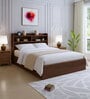 Domira Teen Queen Sized Bed With Headboard & Box Storage in Columbian Walnut Finish