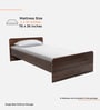 Teen Single Bed in Columbian Walnut Finish
