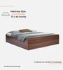 Domira Teen Queen Sized Bed With Box Storage in Columbian Walnut Finish 
