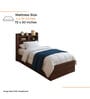 Den Single Size Bed in Columbian Walnut Finish with Headboard &  Box Storage