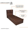 Den Single Size Bed in Columbian Walnut Finish with Headboard &  Box Storage