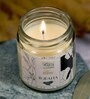 Tejpatta Scented Jar Candle Spices Collection