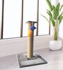 Cat Scratching Post 2 Ft In Grey Colour With Brown Rope