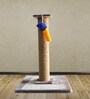 Cat Scratching Post 2 Ft In Grey Colour With Brown Rope