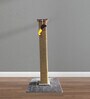 Cat Scratching Post 3 Ft In Grey Colour With Brown Rope