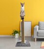 Cat Scratching Post 3 Ft In Grey Colour With Brown Rope