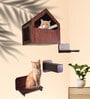 Wall Mounted Birch Plywood Cat Scratcher in Dark Brown