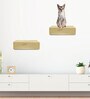 Wall Mounted Floating Shelf In Beige Colour