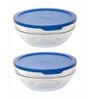 Tempered Round Container with Lid (Set of 2pcs)
