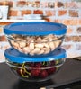 Tempered Round Container with Lid (Set of 2pcs)