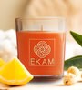 Temple Bloom Aroma Set Of 12 Scented Candles