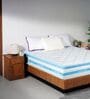 Temprest Cool Max 8 Inches Memory Foam Queen Size Mattress