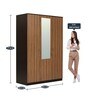 Terence 3 Door Wardrobe With Mirror in Wenge & Natural Ebony Finish
