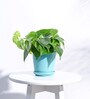Terquess Blue Ceramic Desk Pot