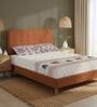 Terra Floral 200 TC Cotton King Sized Fitted Bedsheet with 2 Pillow Covers
