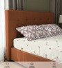 Terra Floral 200 TC Cotton Single Bedsheet with 1 Pillow Cover