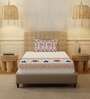 Terra Floral 200 TC Cotton Single Bedsheet with 1 Pillow Cover