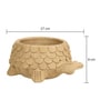 Brown Terra Tortoise Clay Planter
