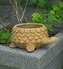 Brown Terra Tortoise Clay Planter