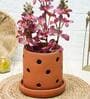 Terracotta Orchid Desk Pot with plate Set Of 2