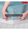 Terry (75x48) Cotton Waterproof Queen Size Mattress Protector in Sky Blue Colour