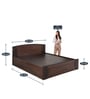 Tessa Queen Size Bed in Brown Finish with Box Storage