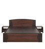 Tessa Queen Size Bed in Brown Finish with Box Storage