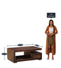Vianen Sheesham Wood Coffee Table In Warm Walnut Finish