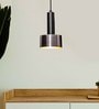 Charlotte Teun Nickel Metal Hanging Light