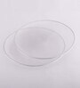 Textured (Set of 2) Glass Dinner Plate
